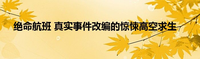 讲述了民航客机在万米高空遭遇机械故障