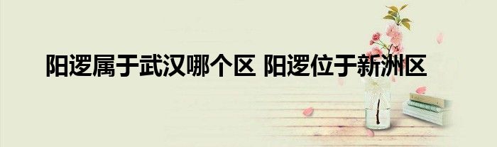 是武汉东部重要的港口新城和开云真人a